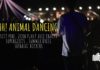 'SHH! Animal Dancing' ชวนมาปลดปล่อยความสนุกหลังล็อกดาวน์ ในเทศกาลดนตรีที่ไม่อยากบอกใคร